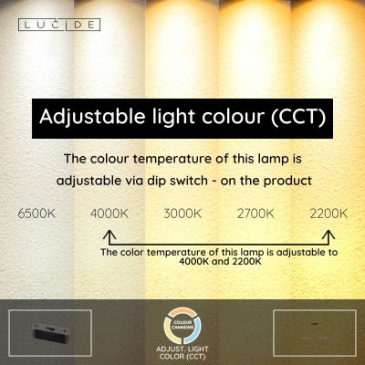 Lucide LANGHOLT - Pendant light - LED Dim. - CCT - 1x28W 2200K/4000K - Light wood - Vibes